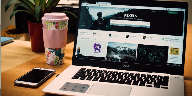 Rare Web شركة برمجة مواقع وتطبيقات دليل 2024