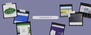 The Importance of Website Design | We Helped Over 50 Clients Achieve Digital Success